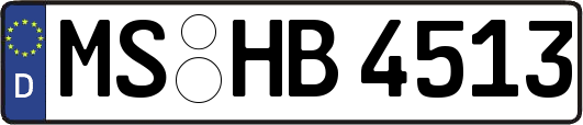 MS-HB4513