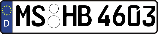 MS-HB4603
