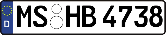 MS-HB4738