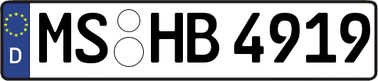 MS-HB4919