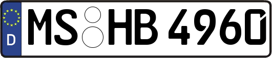 MS-HB4960
