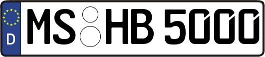MS-HB5000