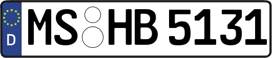 MS-HB5131