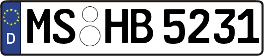 MS-HB5231