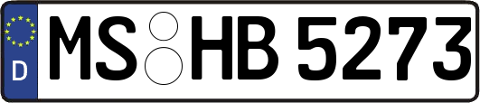 MS-HB5273