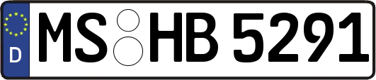 MS-HB5291