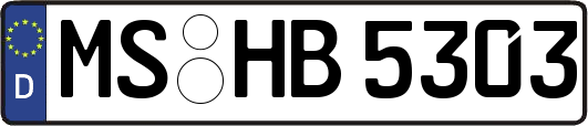 MS-HB5303
