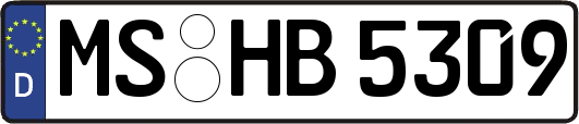 MS-HB5309