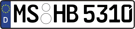 MS-HB5310