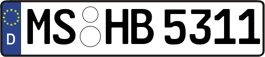 MS-HB5311