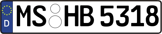 MS-HB5318