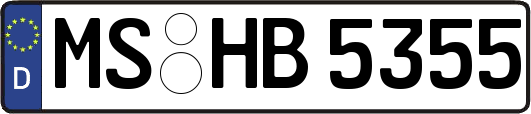 MS-HB5355
