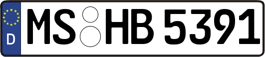 MS-HB5391
