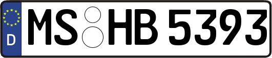 MS-HB5393