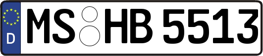 MS-HB5513