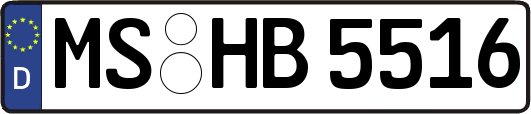 MS-HB5516