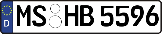 MS-HB5596