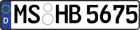 MS-HB5675
