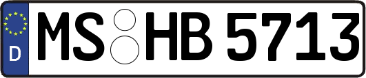 MS-HB5713