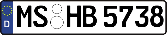 MS-HB5738