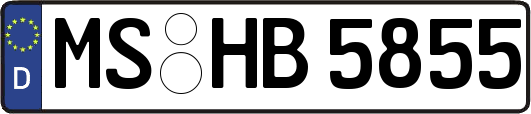 MS-HB5855