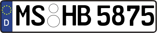 MS-HB5875