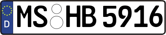 MS-HB5916