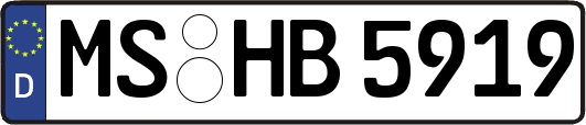 MS-HB5919