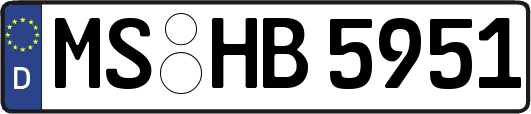 MS-HB5951