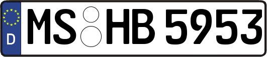 MS-HB5953