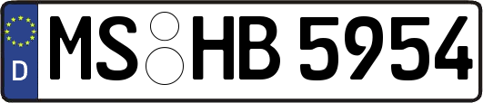 MS-HB5954