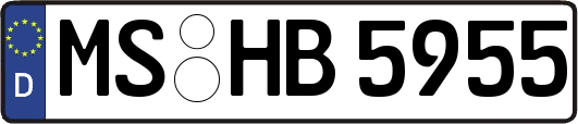 MS-HB5955