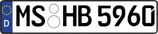 MS-HB5960