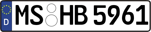 MS-HB5961