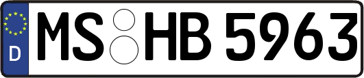 MS-HB5963