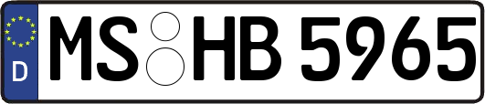 MS-HB5965