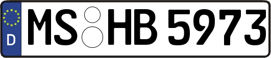 MS-HB5973