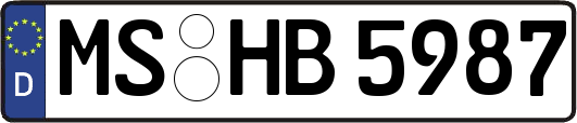 MS-HB5987