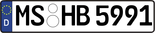 MS-HB5991