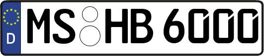 MS-HB6000