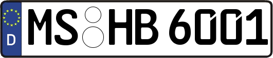 MS-HB6001