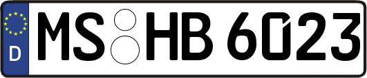 MS-HB6023