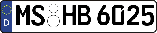 MS-HB6025