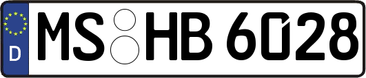 MS-HB6028