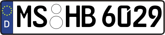 MS-HB6029