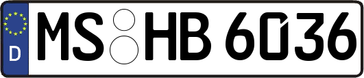 MS-HB6036