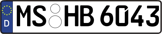 MS-HB6043