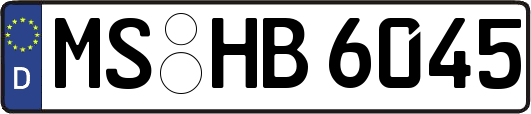 MS-HB6045