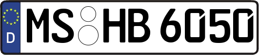 MS-HB6050