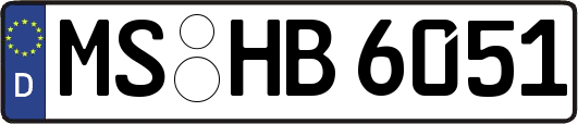 MS-HB6051